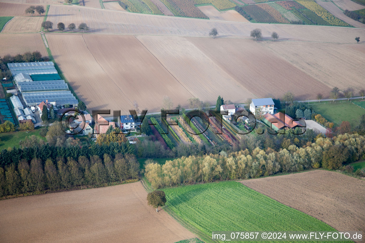 Vue aérienne de Jardinage à Vollmersweiler dans le département Rhénanie-Palatinat, Allemagne