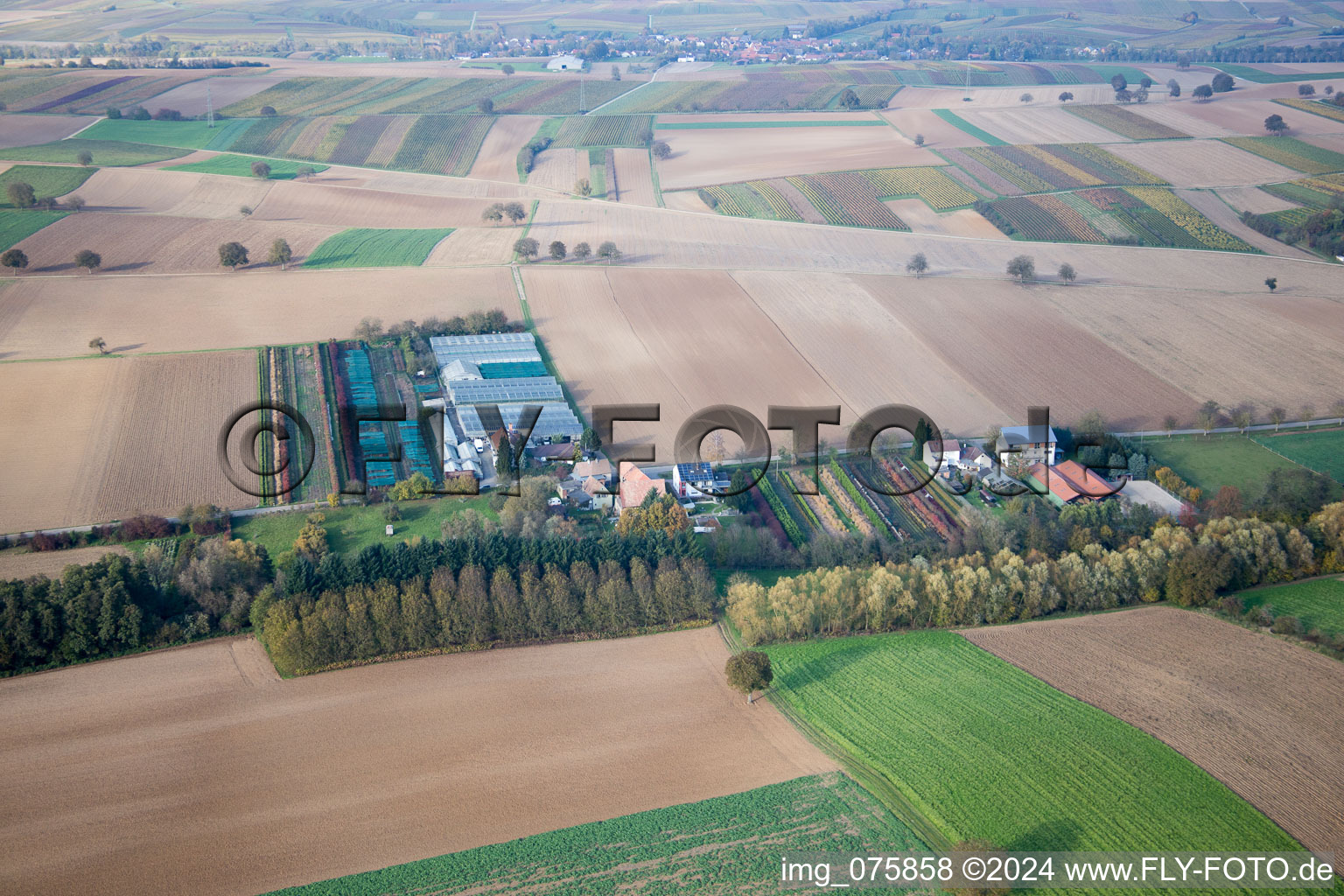 Photographie aérienne de Jardinage à Vollmersweiler dans le département Rhénanie-Palatinat, Allemagne