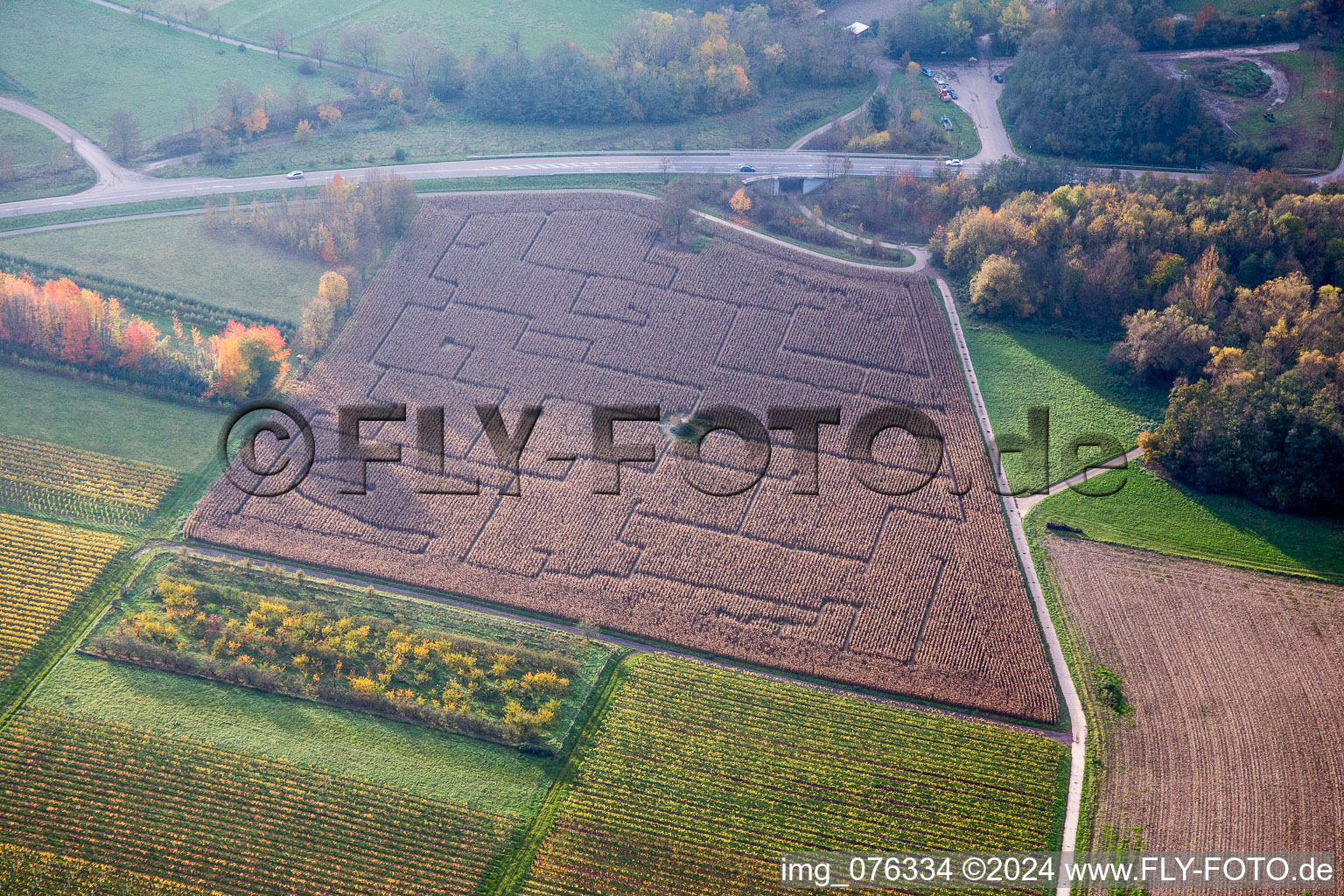 Vue aérienne de Labyrinthe - Labyrinthe de champ de maïs dans un champ à Göcklingen dans le département Rhénanie-Palatinat, Allemagne