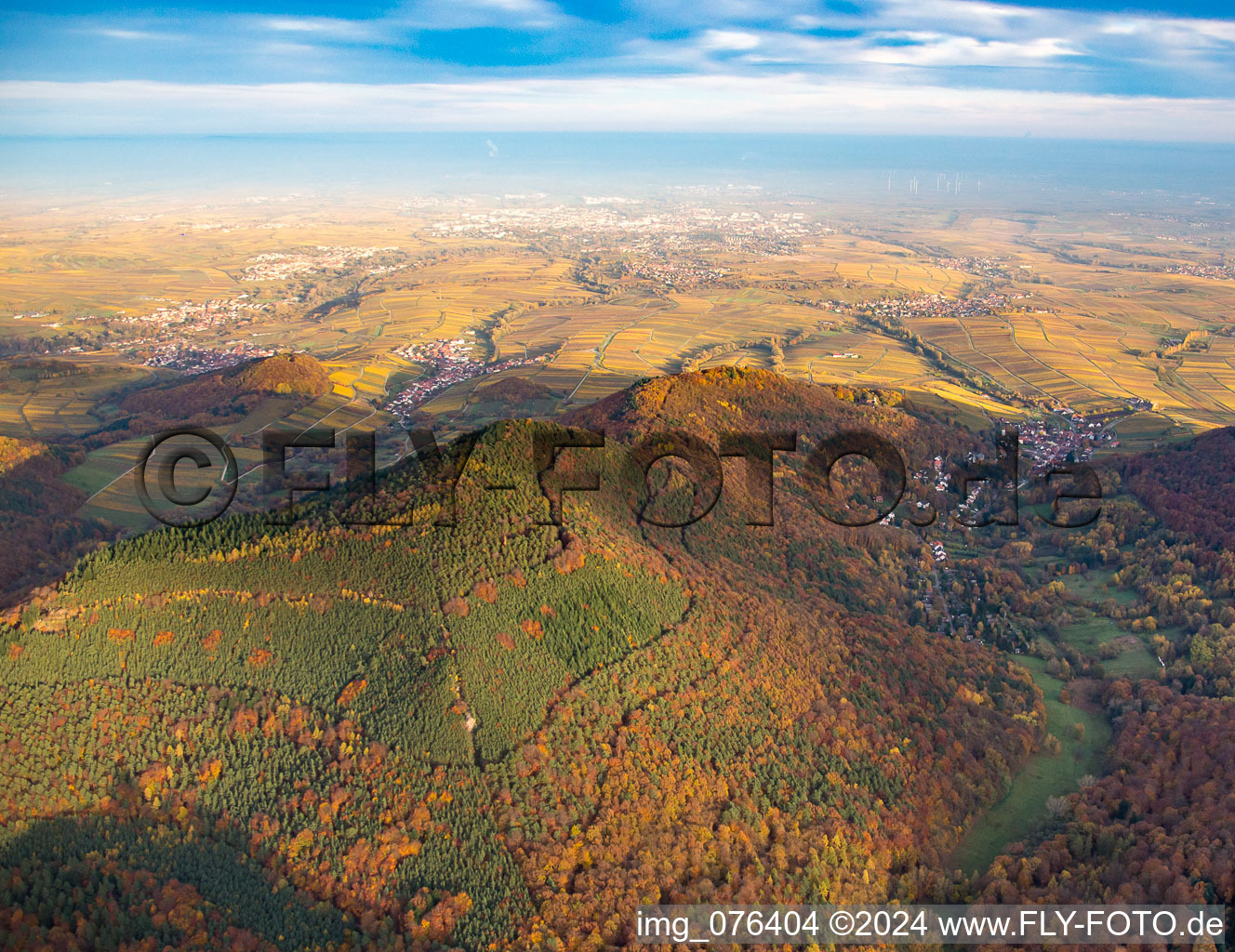 Vue aérienne de Vallée de Birnbachtal à Leinsweiler dans le département Rhénanie-Palatinat, Allemagne