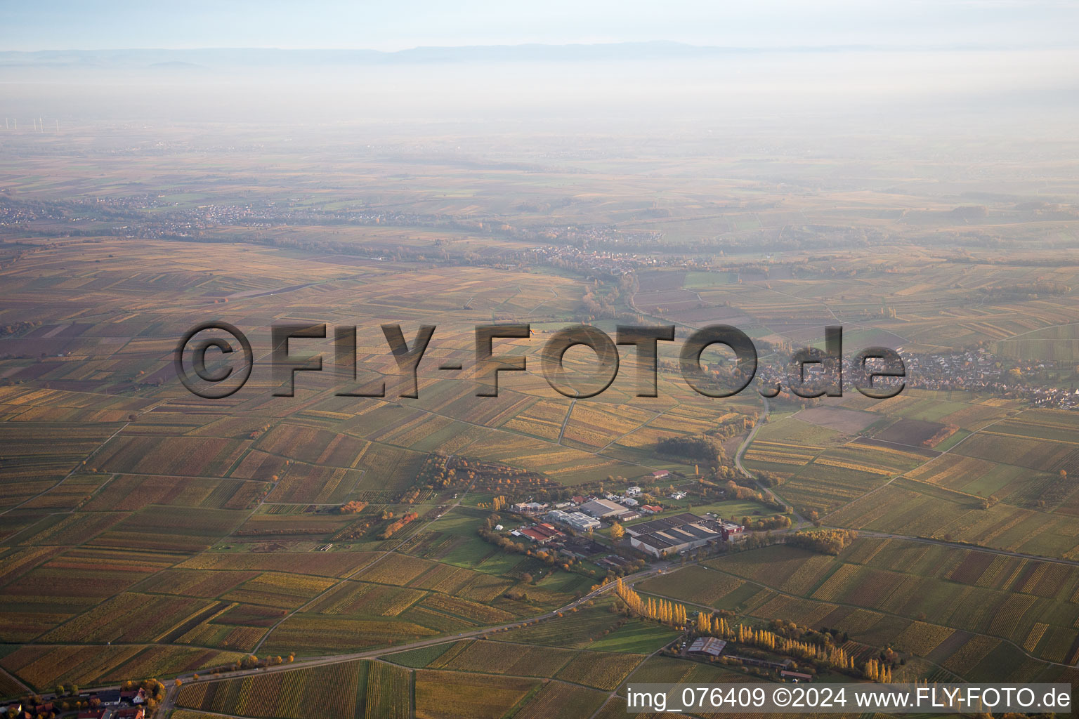 Vue aérienne de Grosspressereri à Ilbesheim bei Landau in der Pfalz dans le département Rhénanie-Palatinat, Allemagne