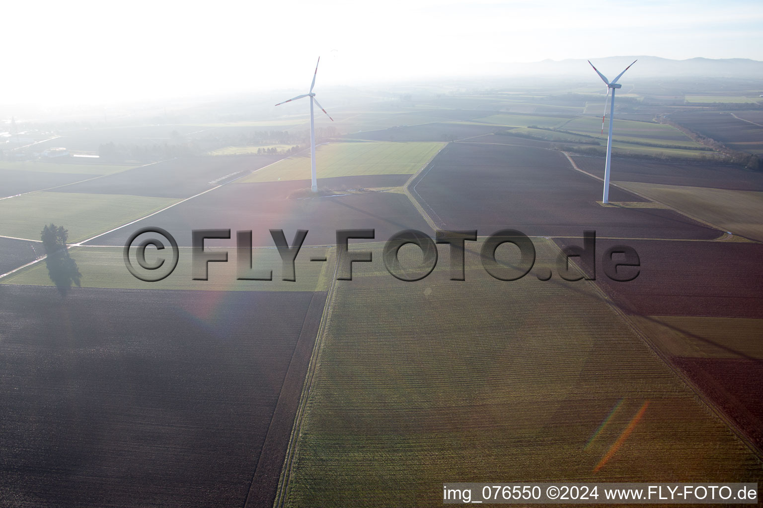 Vue d'oiseau de Minfeld dans le département Rhénanie-Palatinat, Allemagne