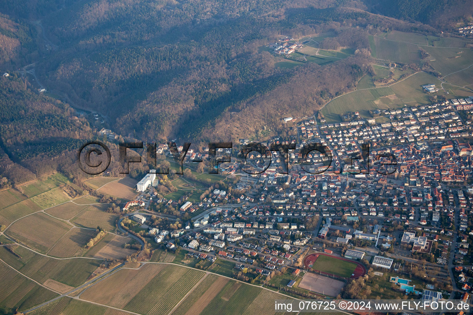 Bad Bergzabern dans le département Rhénanie-Palatinat, Allemagne vue d'en haut