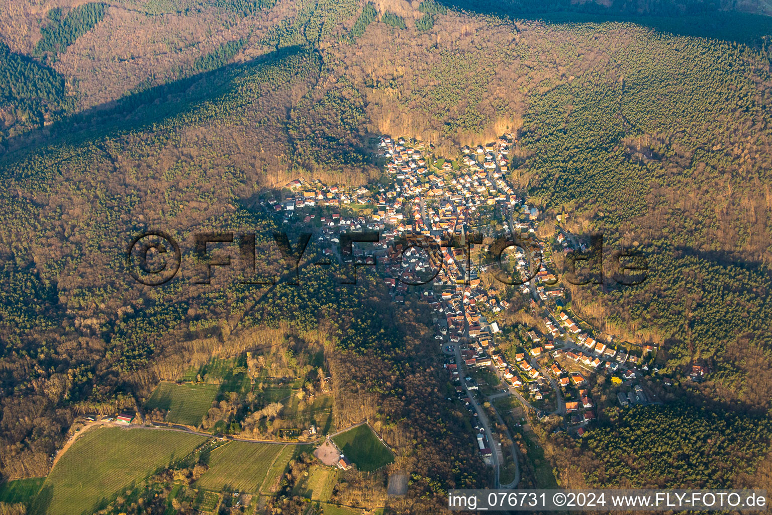 Dörrenbach dans le département Rhénanie-Palatinat, Allemagne vue d'en haut