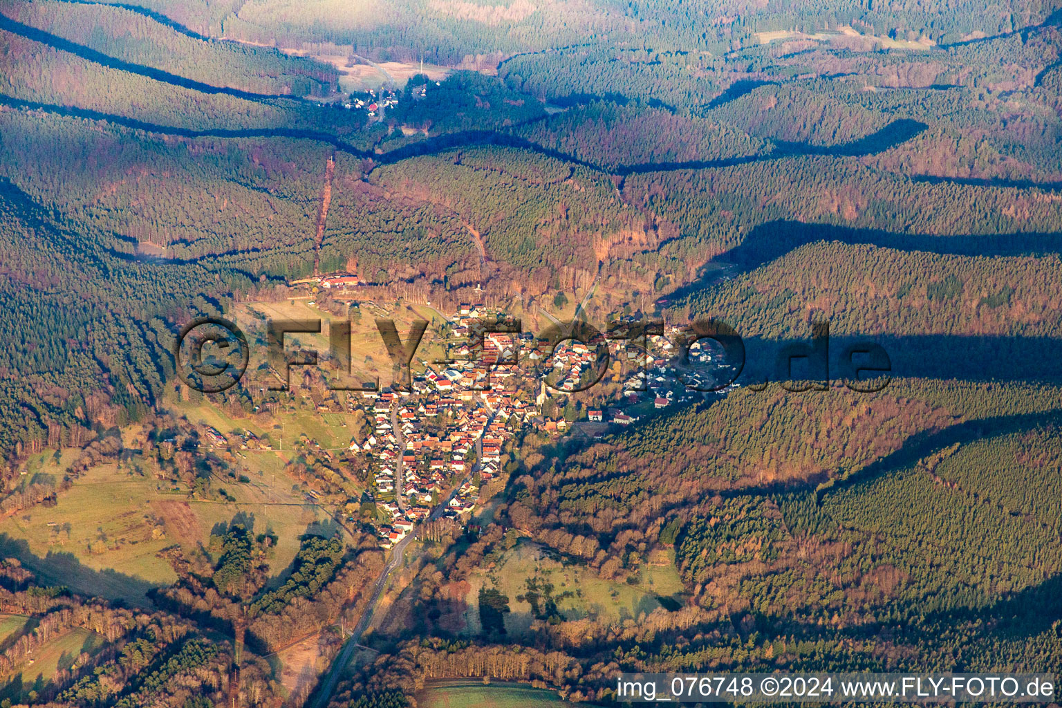 Vue aérienne de Birkenhördt dans le département Rhénanie-Palatinat, Allemagne