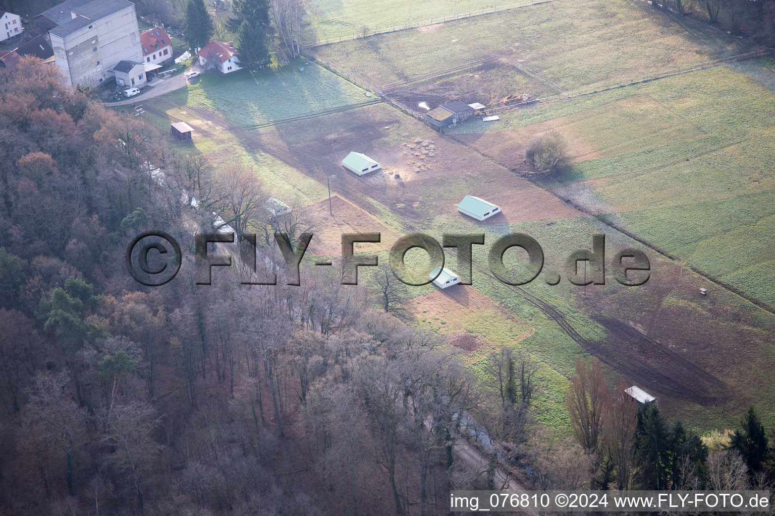 Vue oblique de Otterbachtal, ferme de poulets bio au Hahnmühle à Kandel dans le département Rhénanie-Palatinat, Allemagne