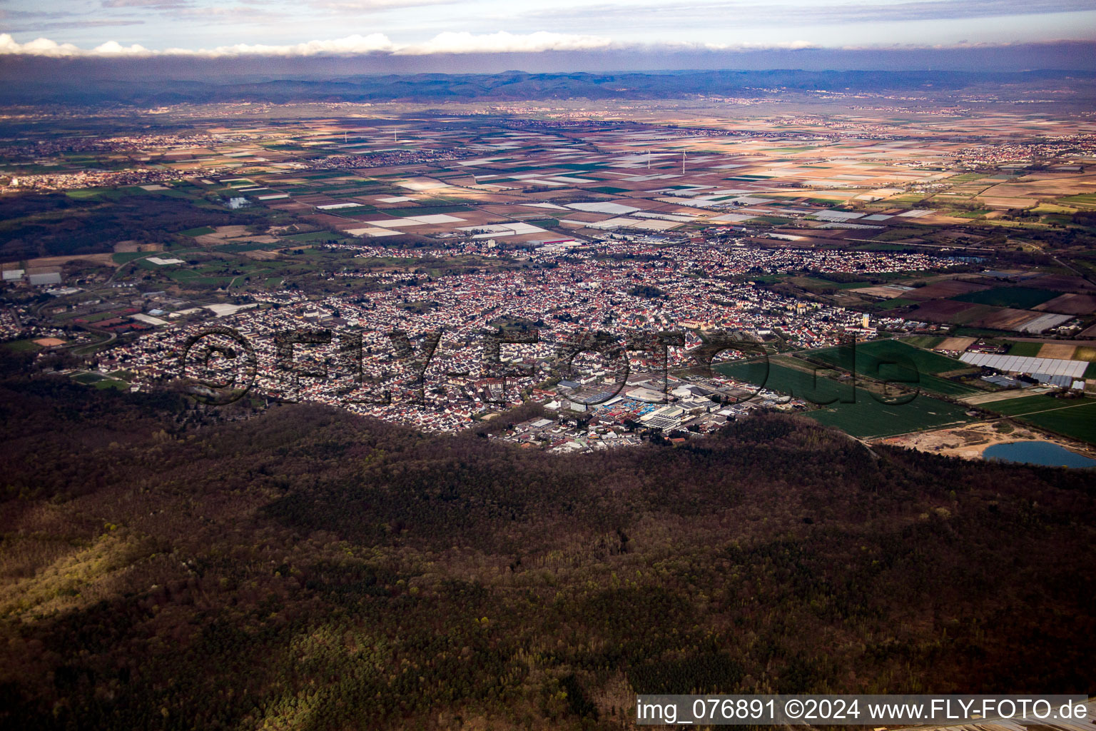 Vue oblique de Schifferstadt dans le département Rhénanie-Palatinat, Allemagne