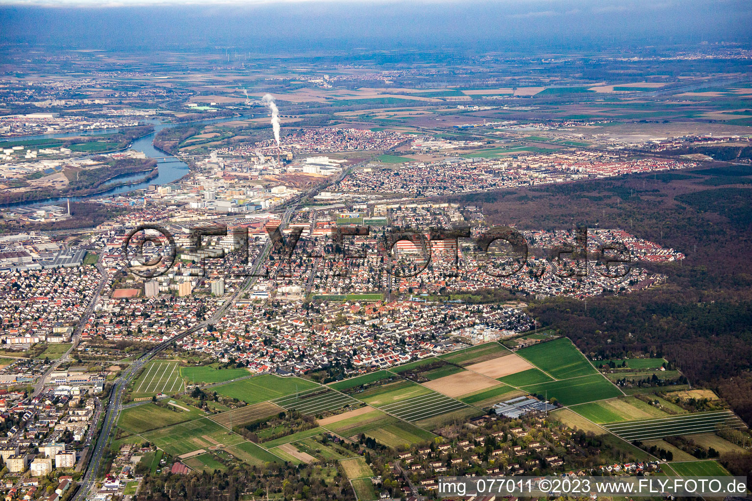 Vue aérienne de Quartier Waldhof in Mannheim dans le département Bade-Wurtemberg, Allemagne