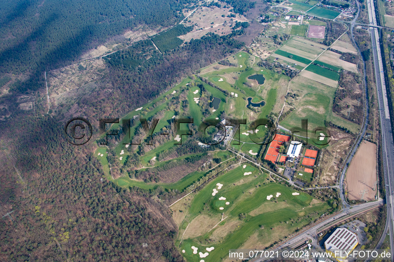 Vue aérienne de Club de Golf Mannheim-Viernheim 1930 eV à Viernheim dans le département Hesse, Allemagne