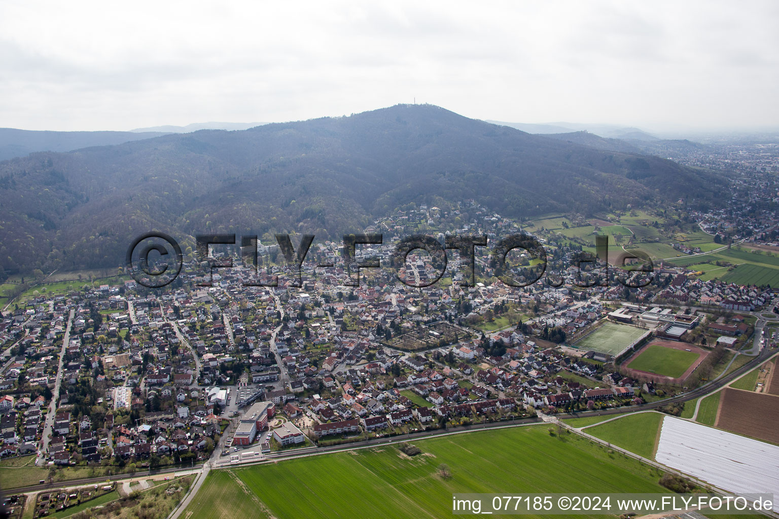 Vue aérienne de Alsbach à Alsbach-Hähnlein dans le département Hesse, Allemagne