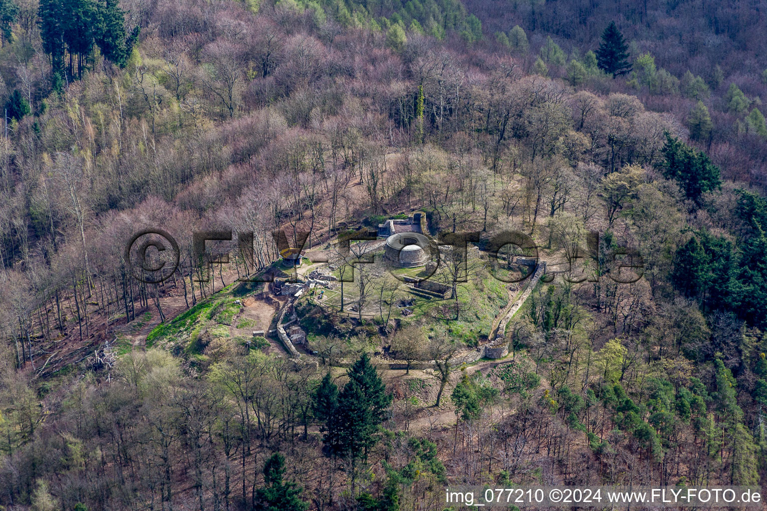 Vue aérienne de Ruines du château de Tannenberg à Seeheim-Jugenheim dans le département Hesse, Allemagne