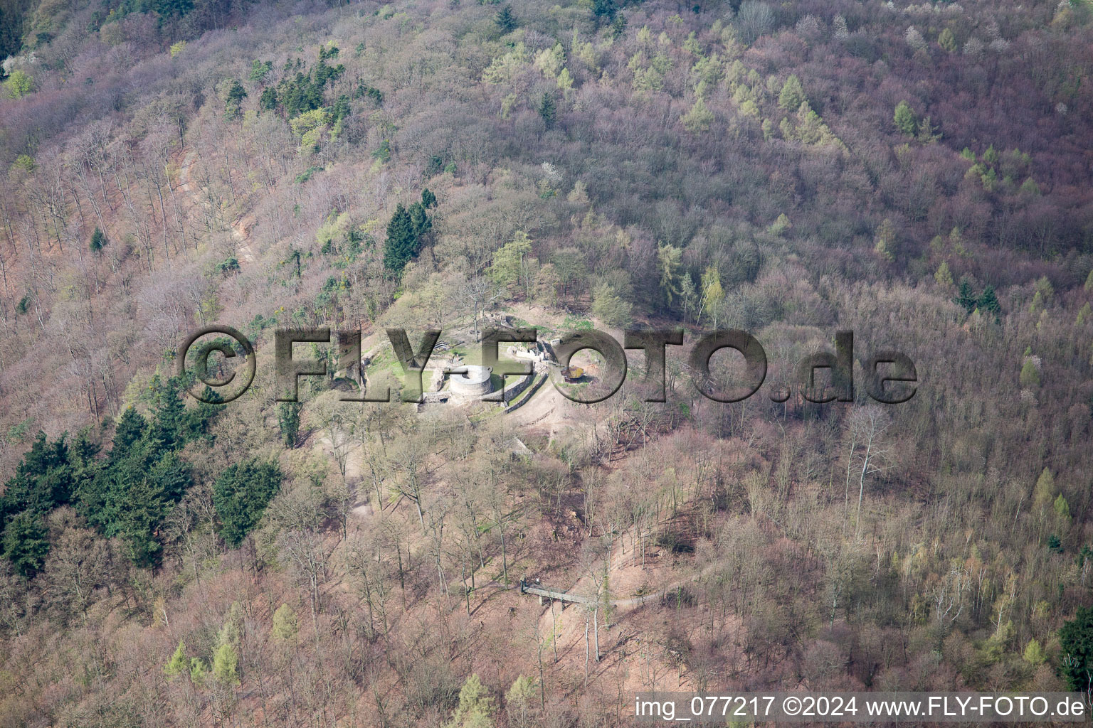 Photographie aérienne de Ruines du château de Tannenberg à Seeheim-Jugenheim dans le département Hesse, Allemagne