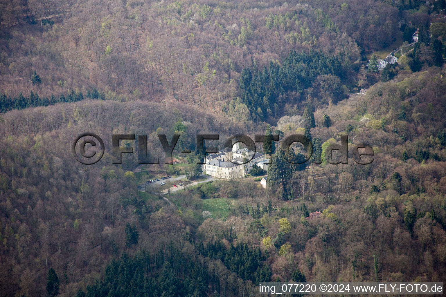 Ruines du château de Tannenberg à Seeheim-Jugenheim dans le département Hesse, Allemagne d'en haut