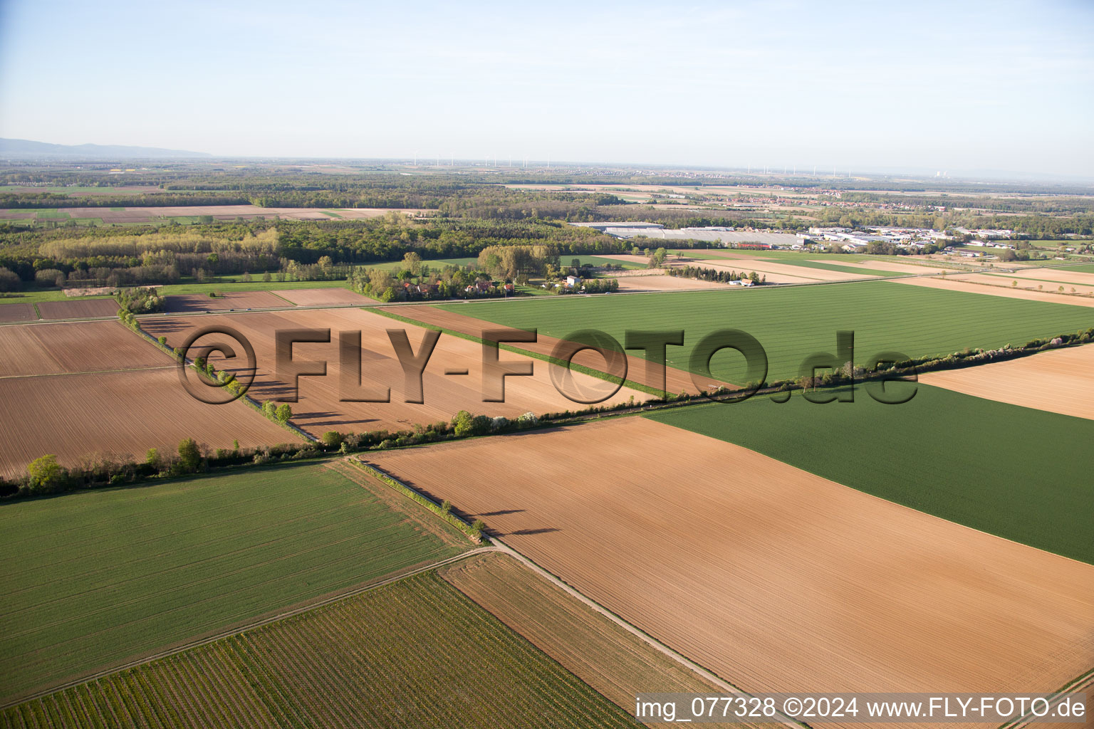 Vue aérienne de Galgenberg à Minfeld dans le département Rhénanie-Palatinat, Allemagne