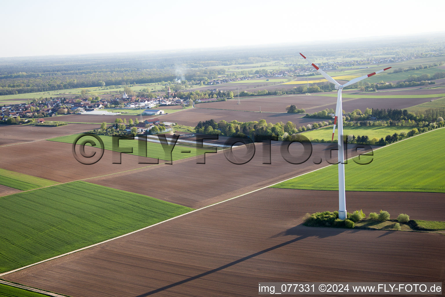 Photographie aérienne de Galgenberg à Minfeld dans le département Rhénanie-Palatinat, Allemagne