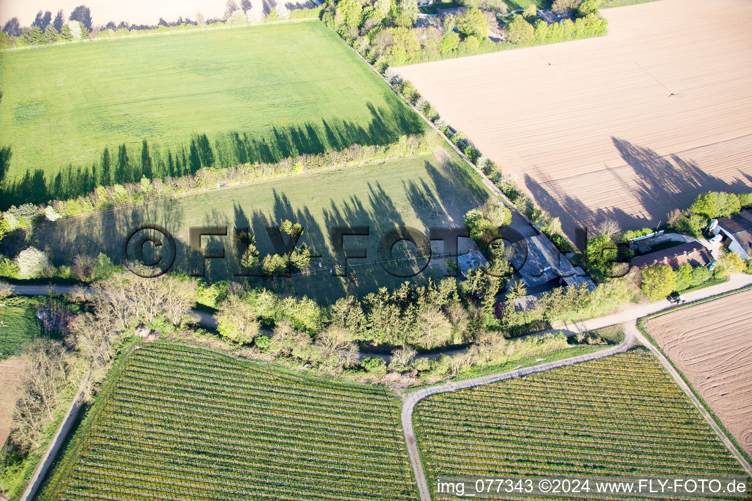 Enclos Trakehner à Minfeld dans le département Rhénanie-Palatinat, Allemagne vue d'en haut