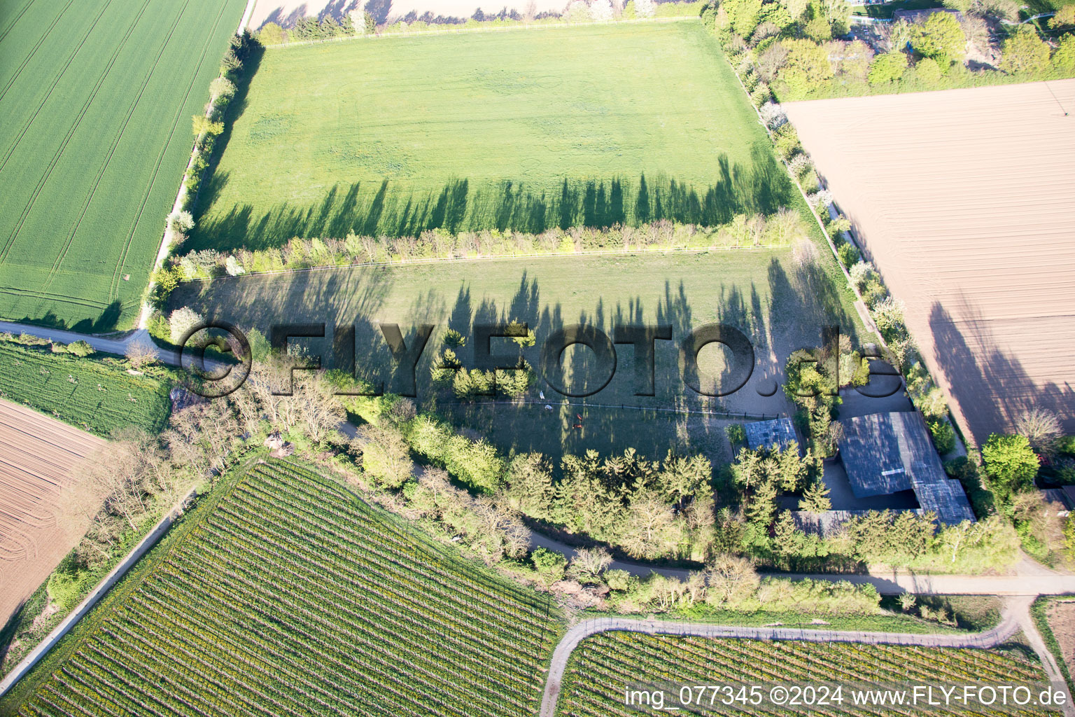 Enclos Trakehner à Minfeld dans le département Rhénanie-Palatinat, Allemagne depuis l'avion