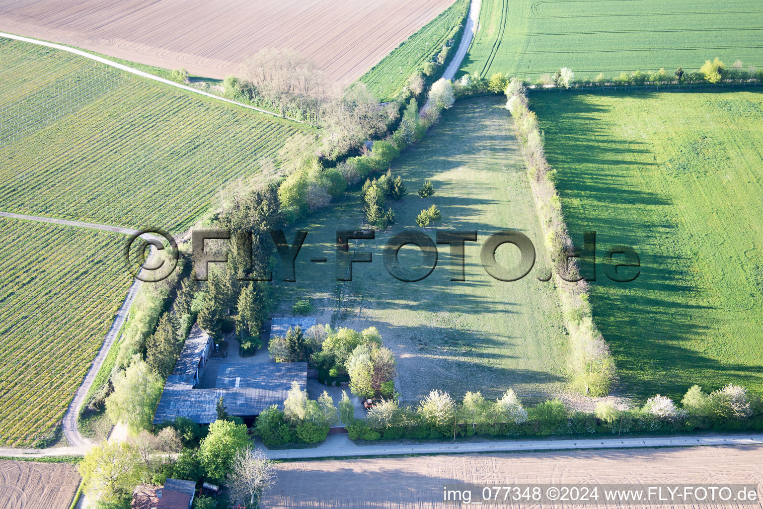 Vue d'oiseau de Enclos Trakehner à Minfeld dans le département Rhénanie-Palatinat, Allemagne