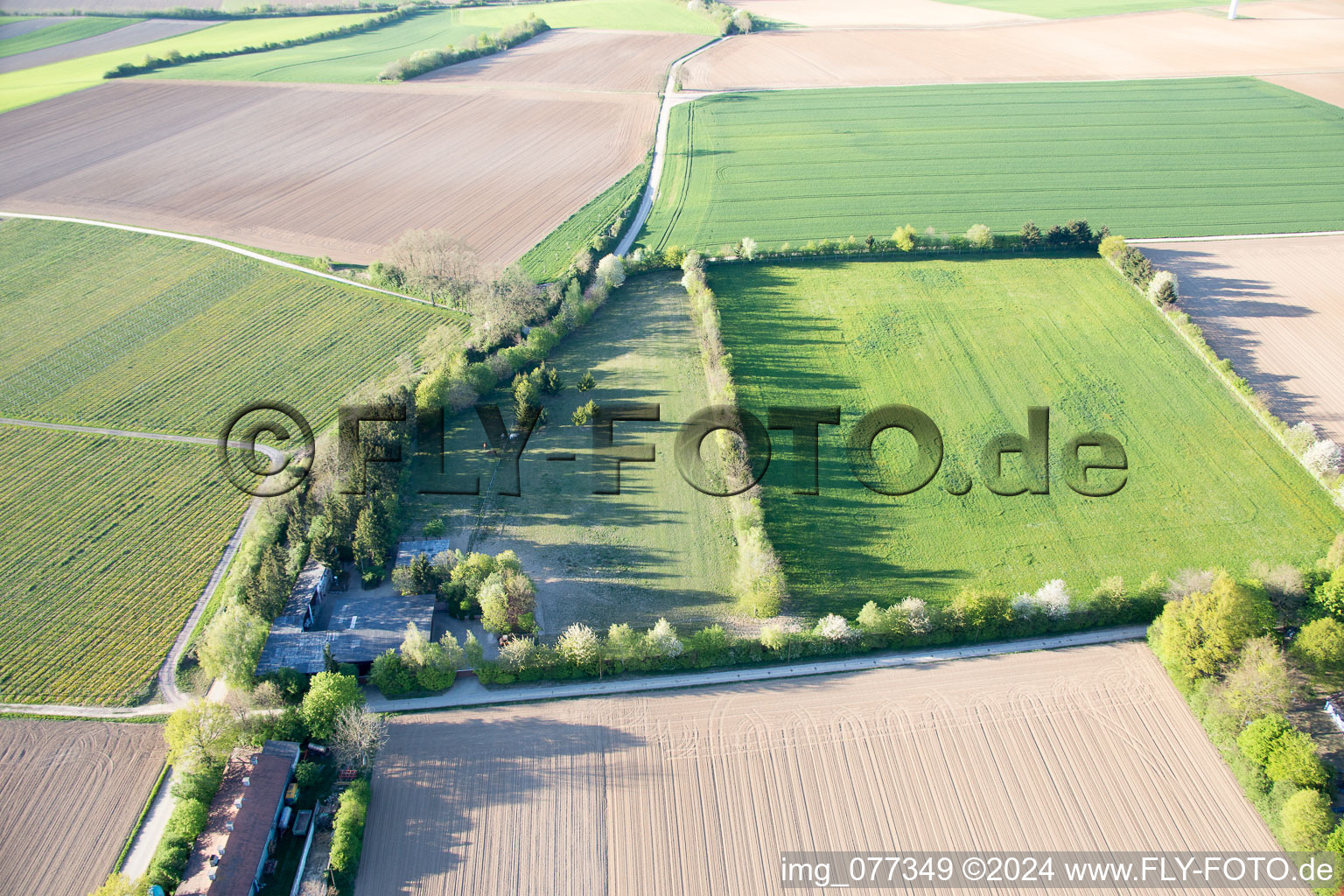 Enclos Trakehner à Minfeld dans le département Rhénanie-Palatinat, Allemagne vue du ciel