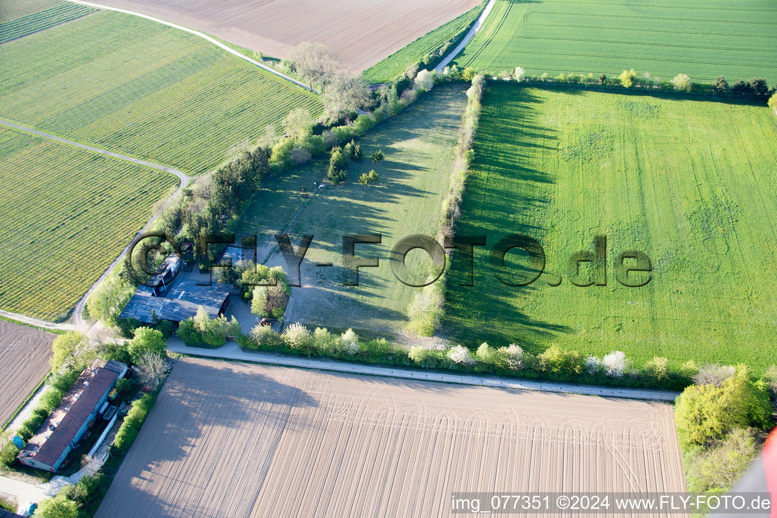 Enregistrement par drone de Enclos Trakehner à Minfeld dans le département Rhénanie-Palatinat, Allemagne