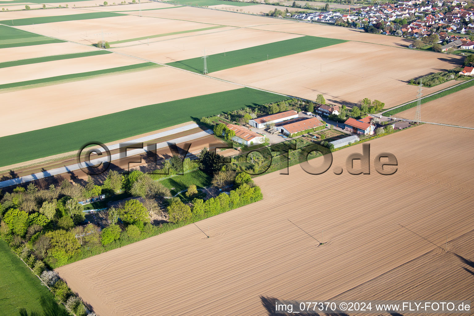 Image drone de Minfeld dans le département Rhénanie-Palatinat, Allemagne