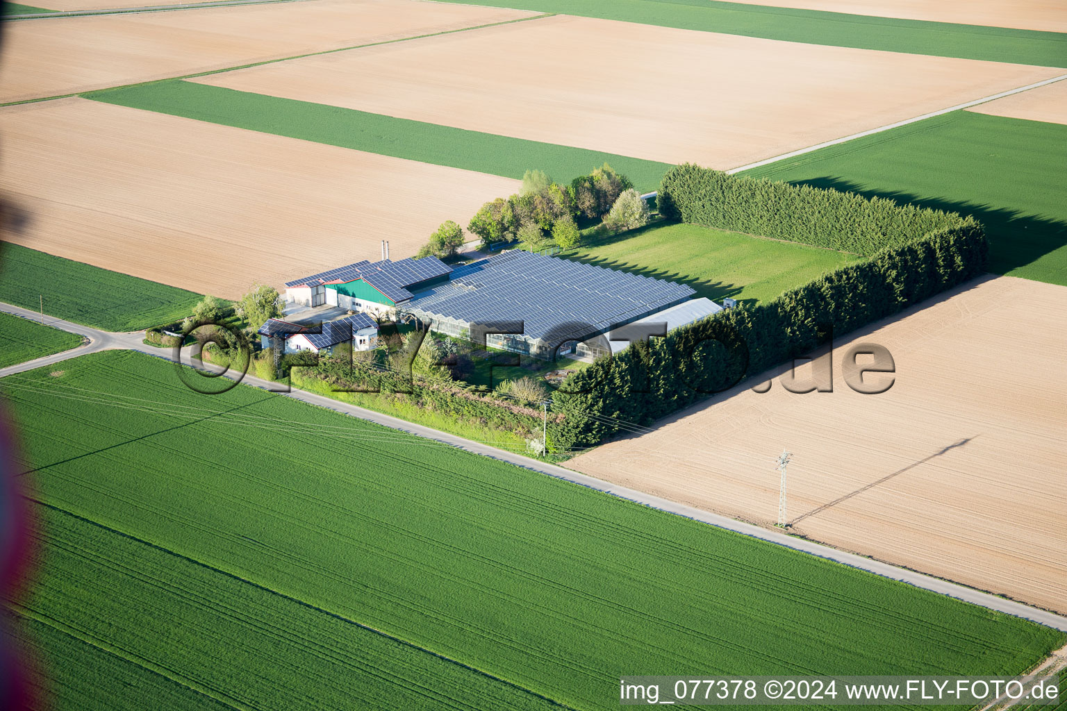 Vue d'oiseau de Steinweiler dans le département Rhénanie-Palatinat, Allemagne