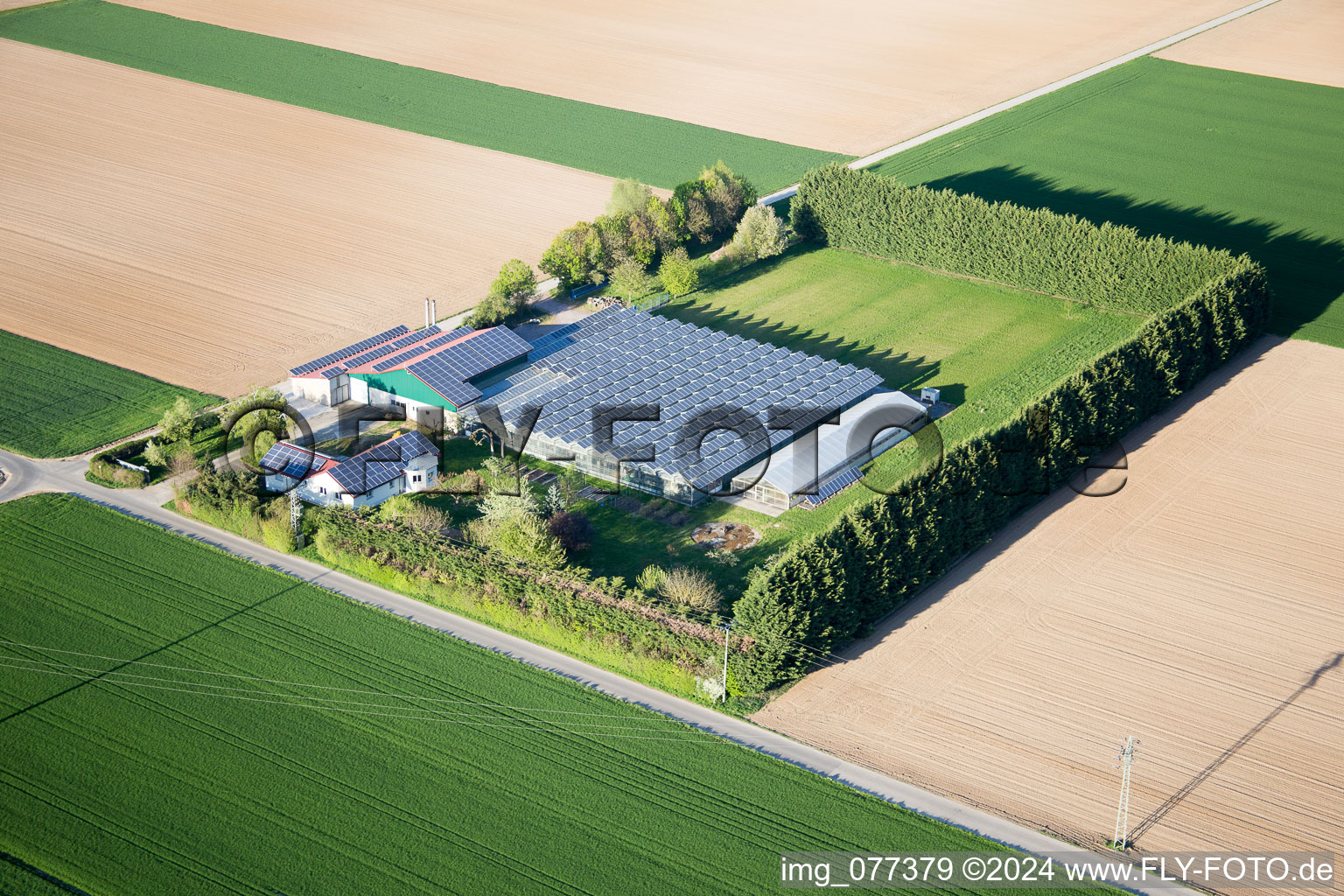 Steinweiler dans le département Rhénanie-Palatinat, Allemagne vue du ciel