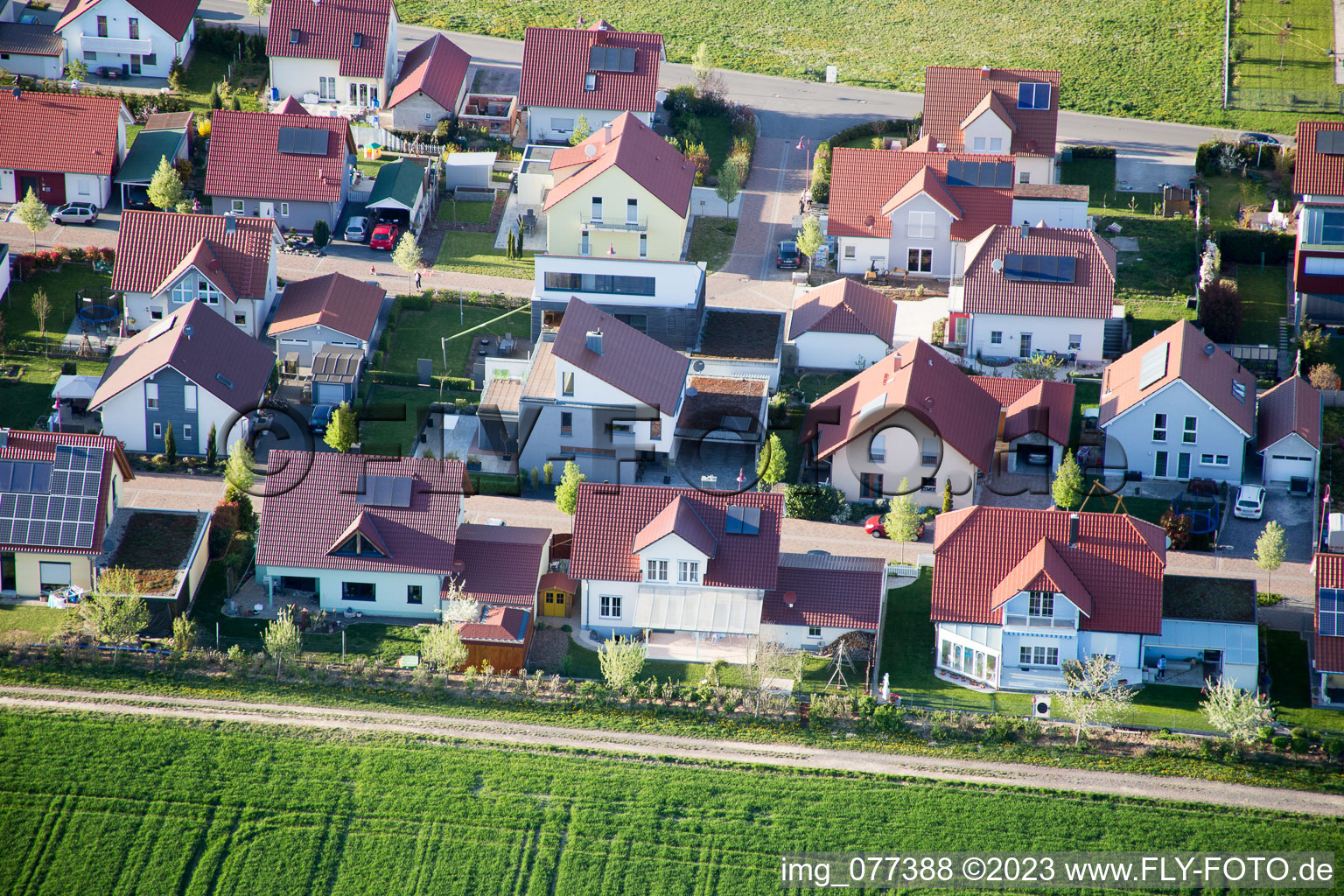 Photographie aérienne de Steinweiler dans le département Rhénanie-Palatinat, Allemagne