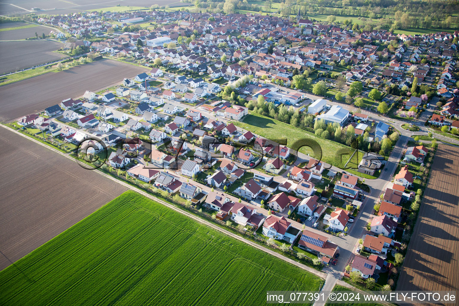 Steinweiler dans le département Rhénanie-Palatinat, Allemagne d'en haut