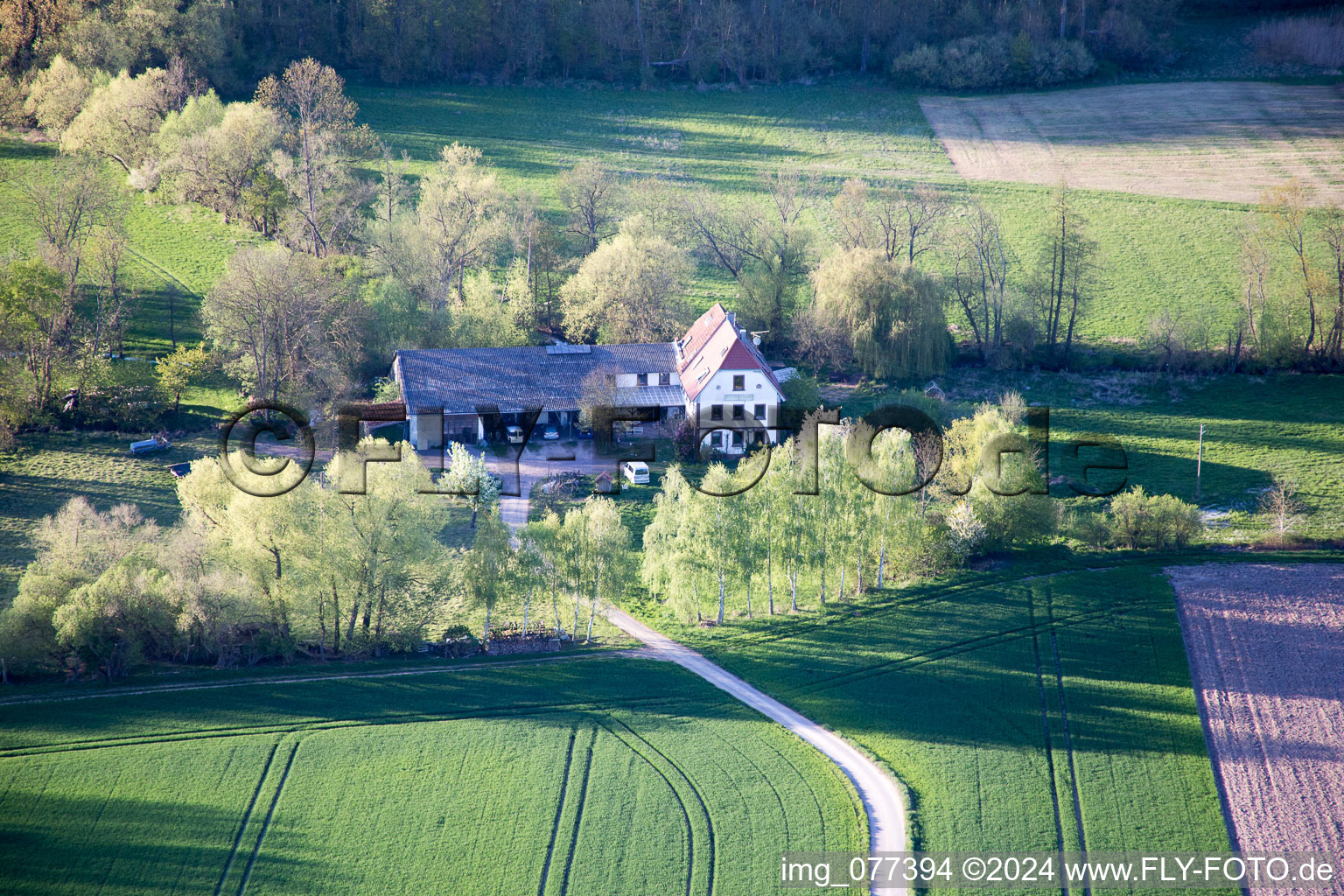 Steinweiler dans le département Rhénanie-Palatinat, Allemagne vue d'en haut