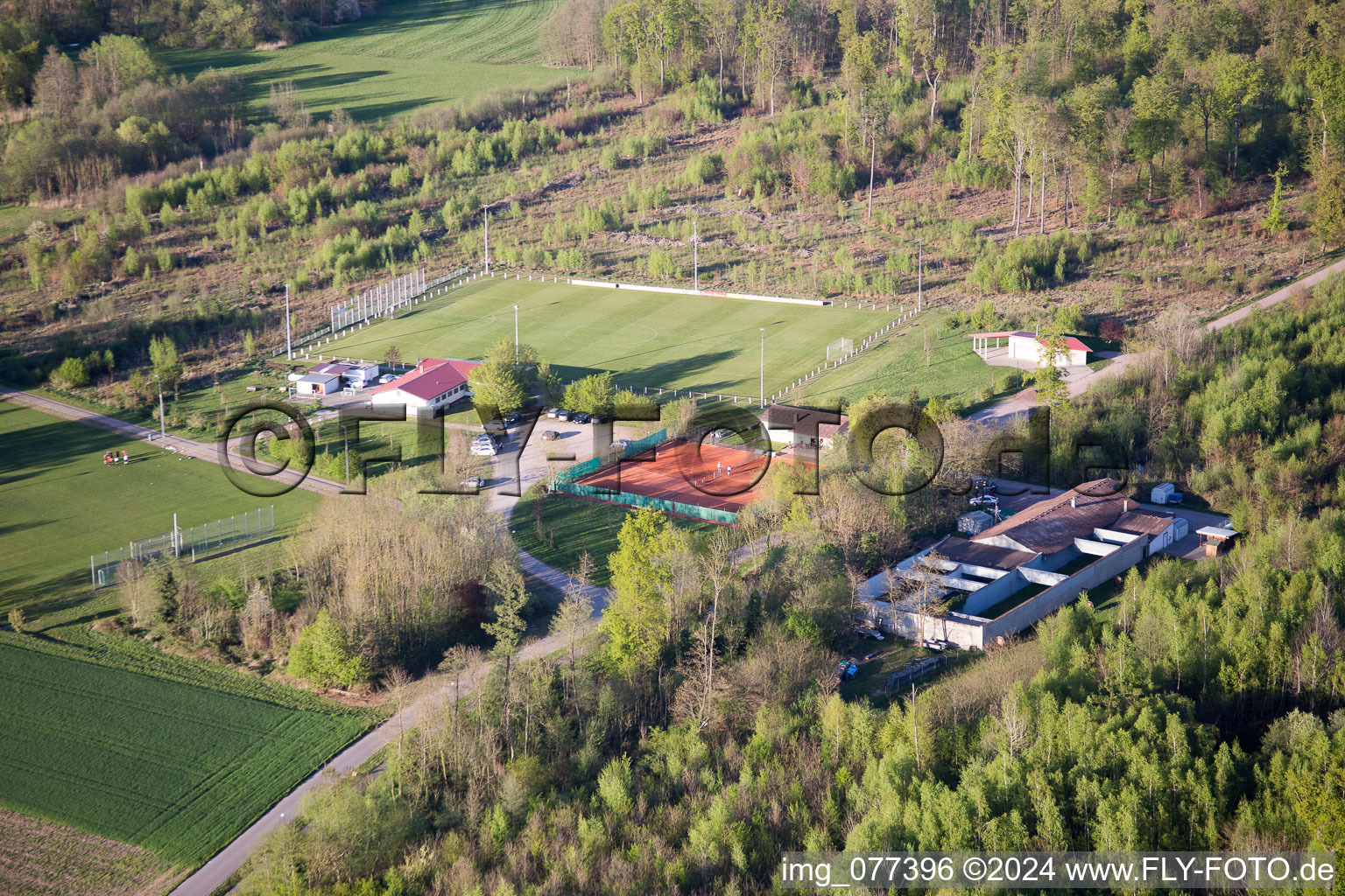 Steinweiler dans le département Rhénanie-Palatinat, Allemagne depuis l'avion