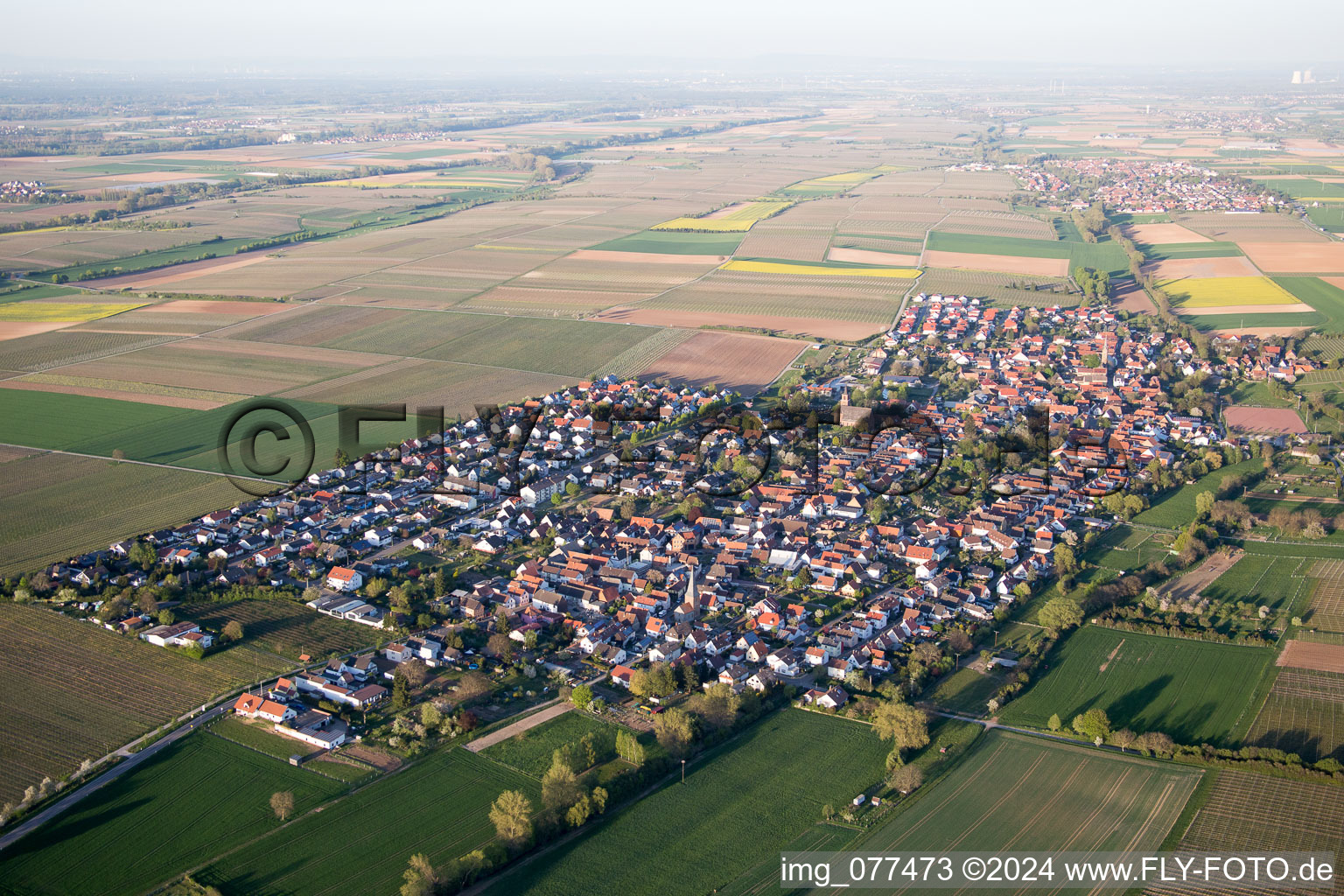 Vue aérienne de Essingen dans le département Rhénanie-Palatinat, Allemagne