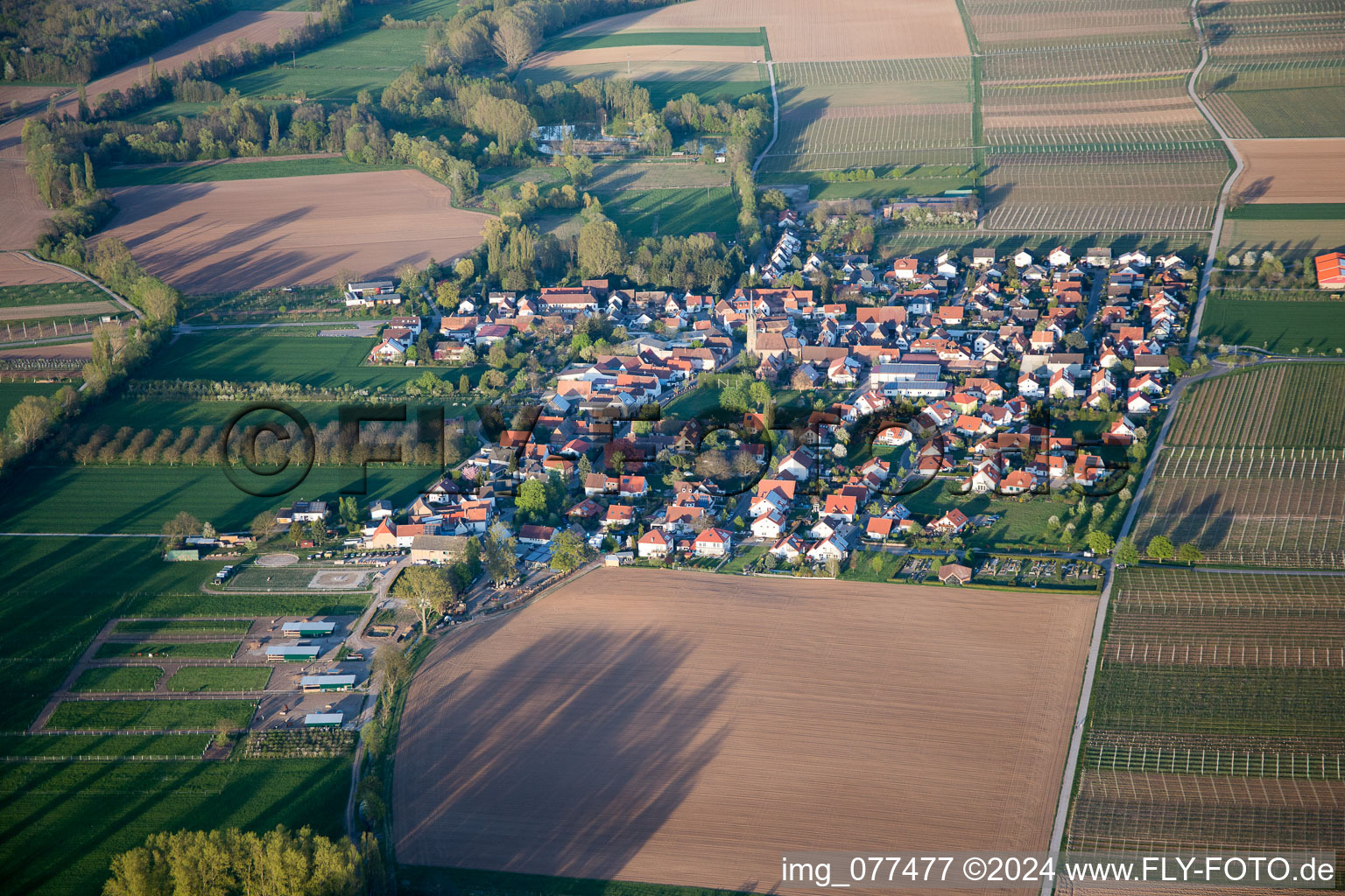 Vue aérienne de Großfischlingen dans le département Rhénanie-Palatinat, Allemagne