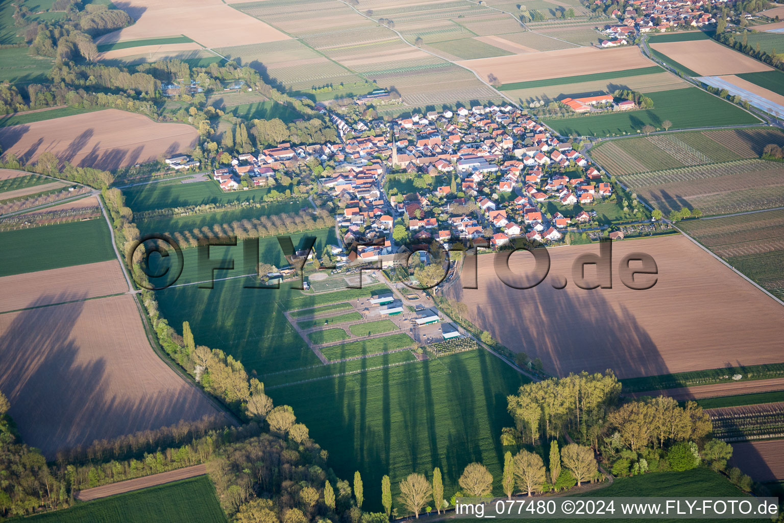 Vue oblique de Großfischlingen dans le département Rhénanie-Palatinat, Allemagne