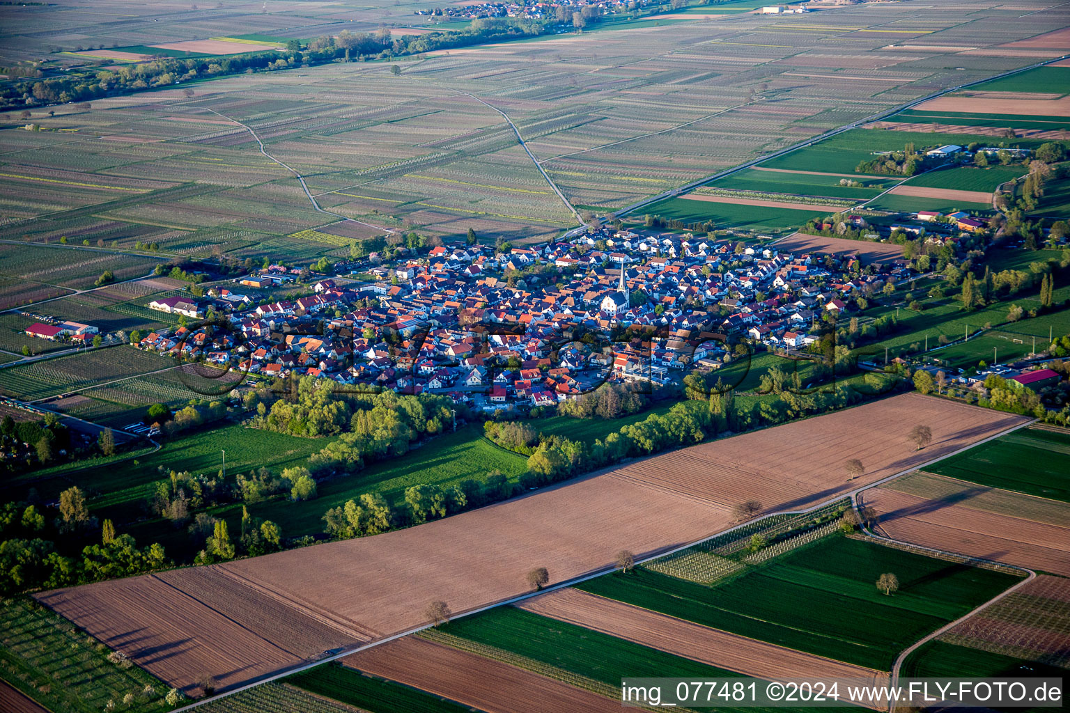 Vue aérienne de Champs agricoles et surfaces utilisables à Venningen dans le département Rhénanie-Palatinat, Allemagne