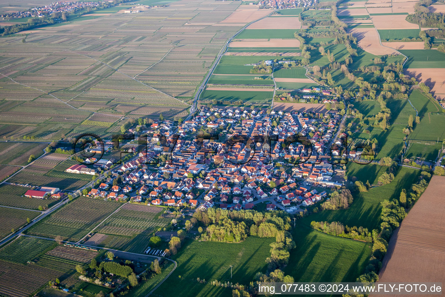 Vue aérienne de Champs agricoles et surfaces utilisables à Venningen dans le département Rhénanie-Palatinat, Allemagne