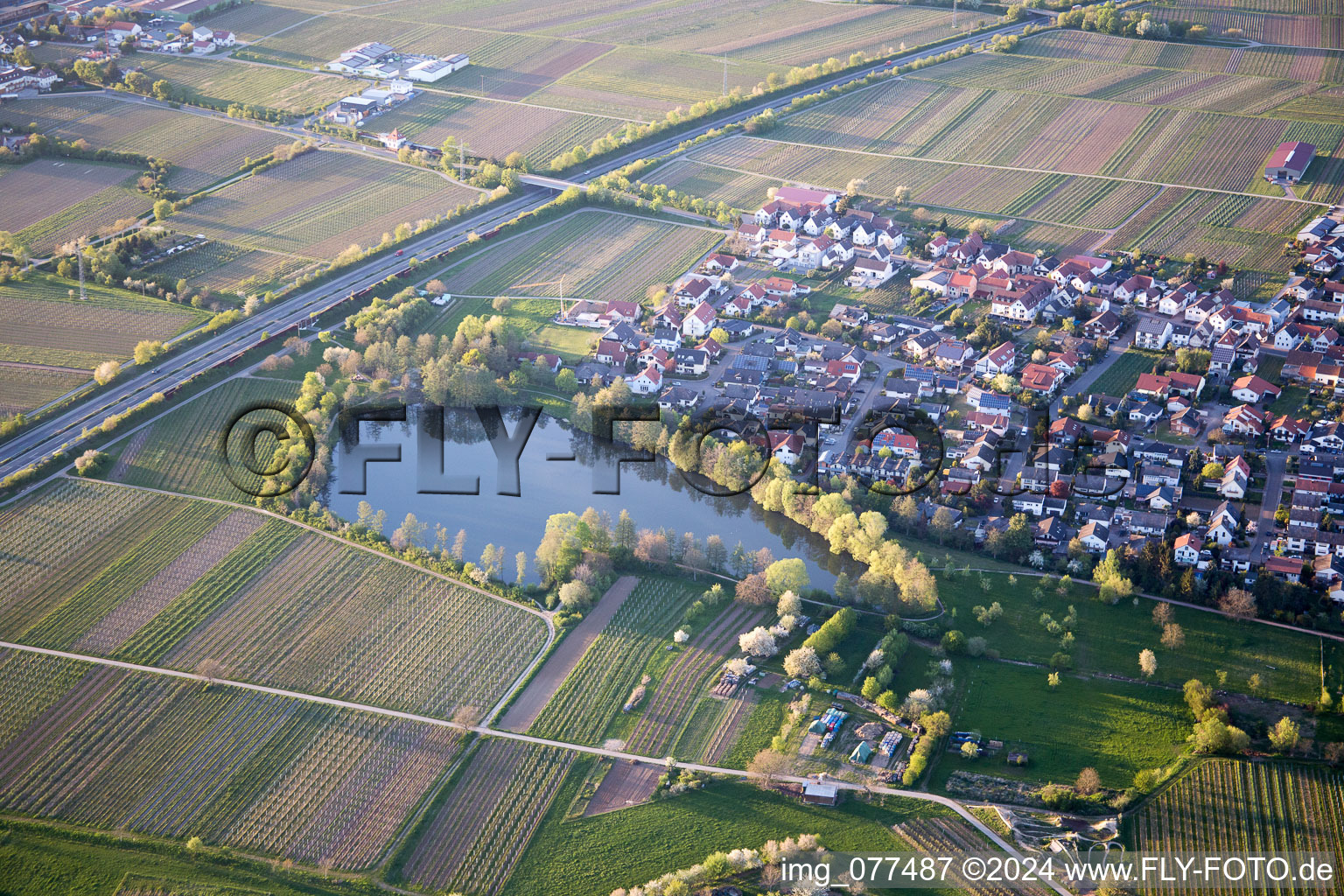 Vue aérienne de Kirrweiler dans le département Rhénanie-Palatinat, Allemagne