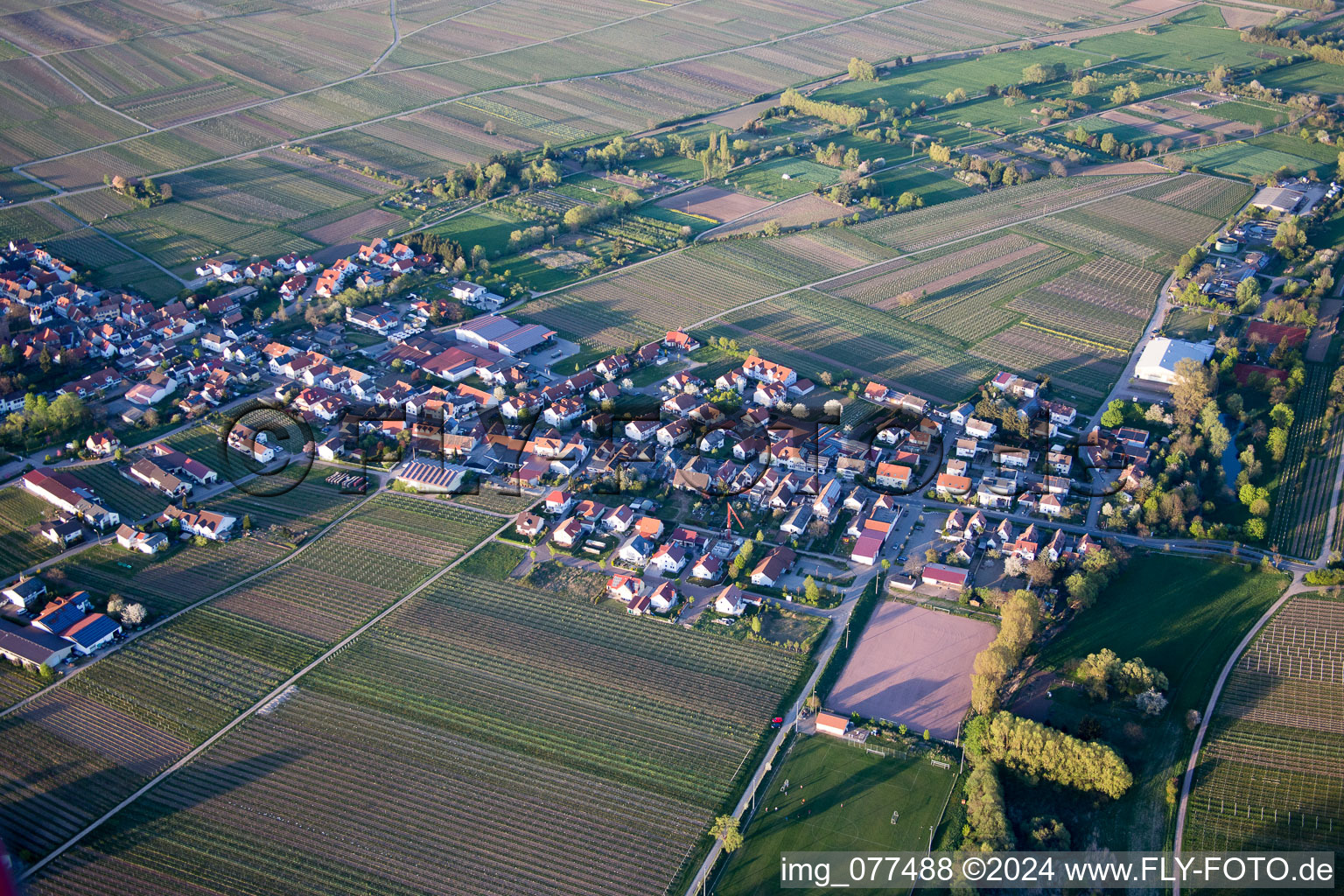 Vue aérienne de Kirrweiler dans le département Rhénanie-Palatinat, Allemagne