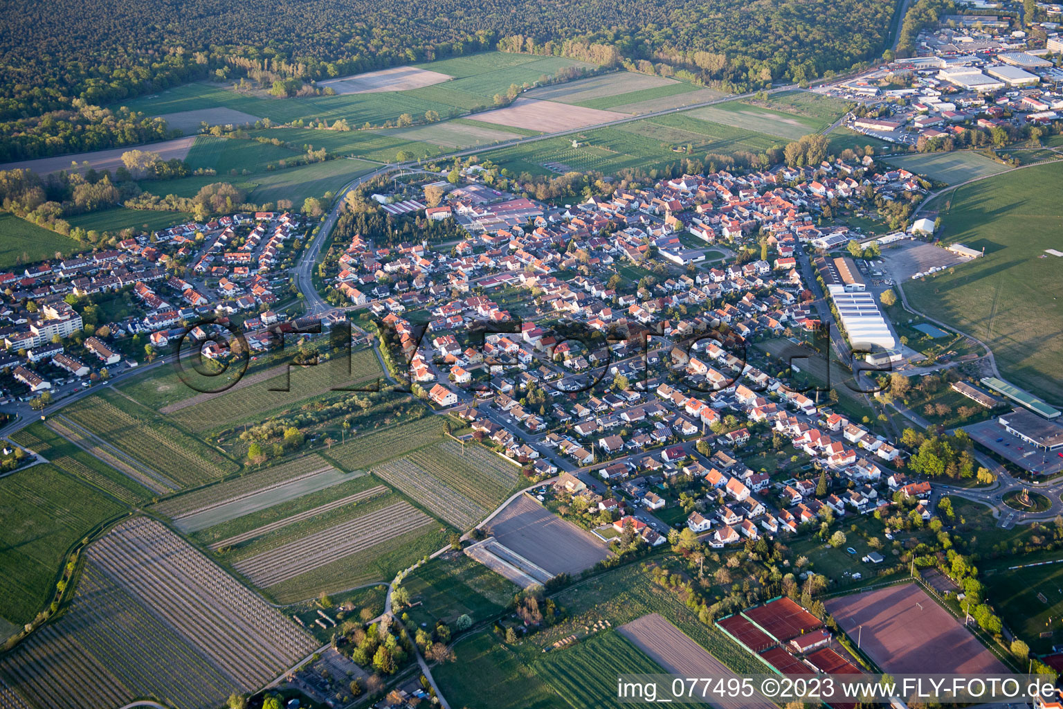 Vue aérienne de Quartier Speyerdorf in Neustadt an der Weinstraße dans le département Rhénanie-Palatinat, Allemagne