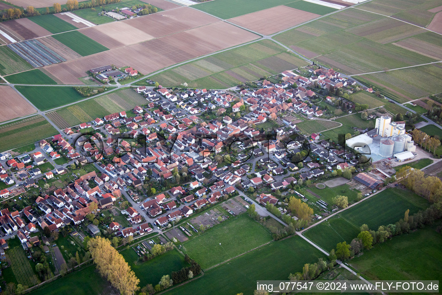 Vue aérienne de Freimersheim à Freimersheim dans le département Rhénanie-Palatinat, Allemagne