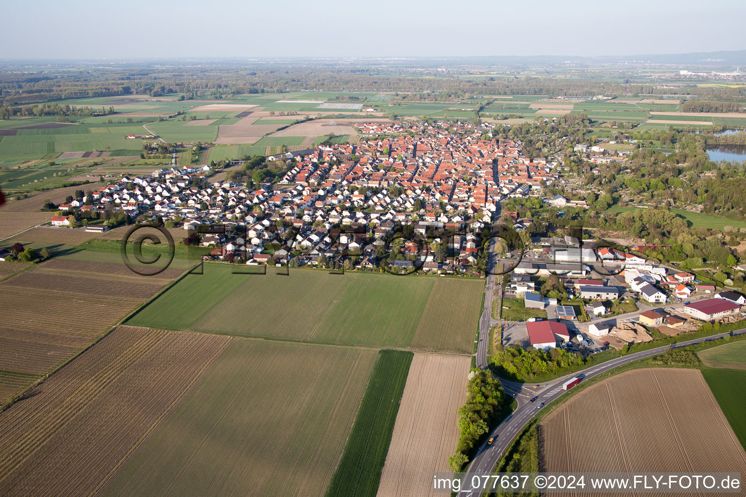 Vue aérienne de Gimbsheim dans le département Rhénanie-Palatinat, Allemagne