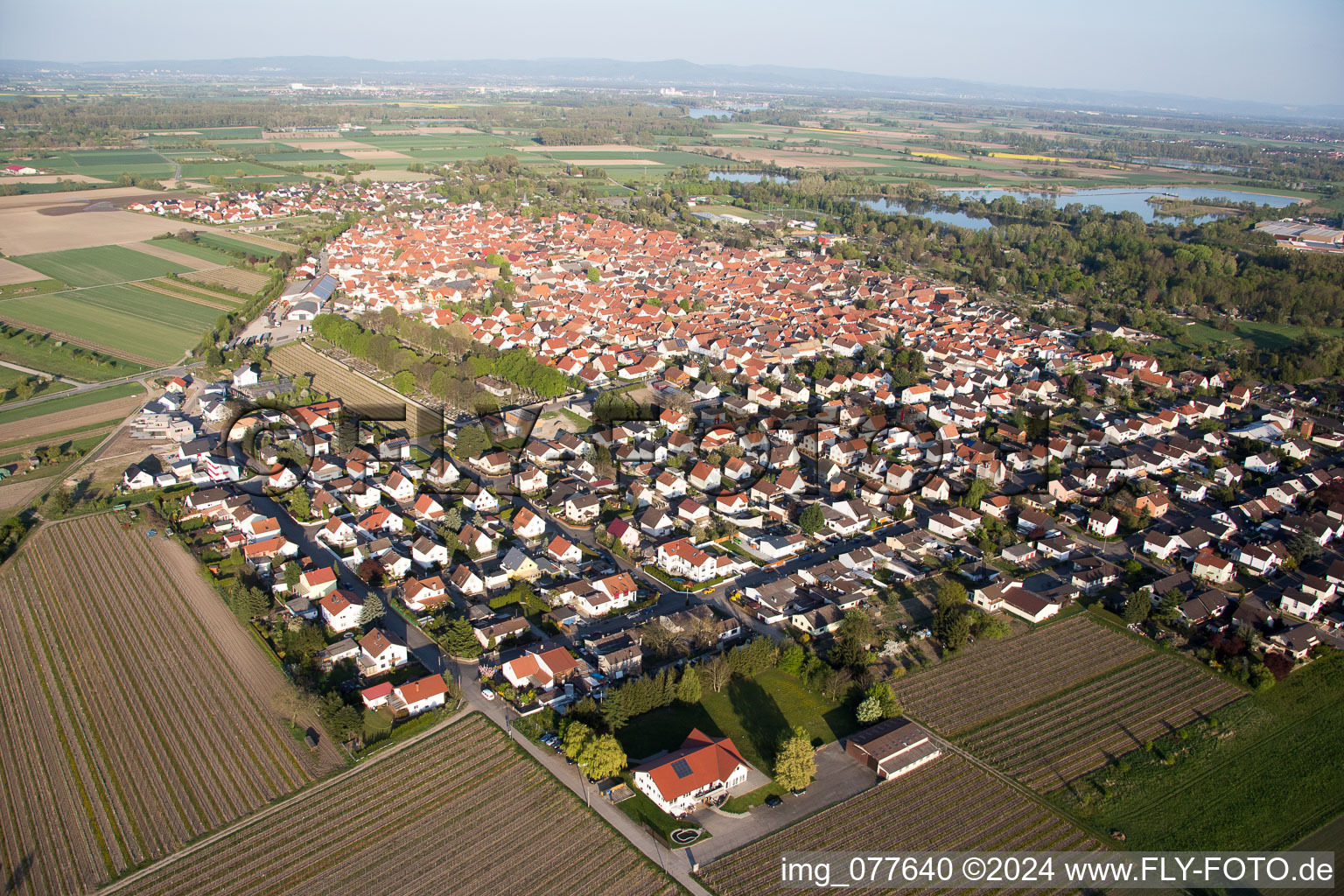 Photographie aérienne de Gimbsheim dans le département Rhénanie-Palatinat, Allemagne