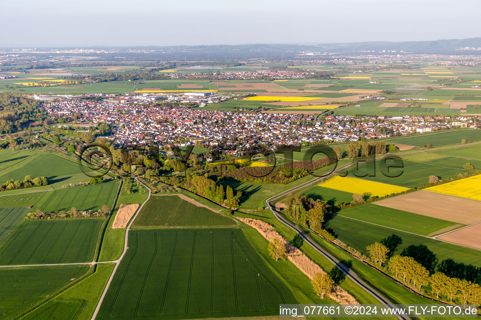 Vue aérienne de Vue des rues et des maisons des quartiers résidentiels à Stockstadt am Rhein dans le département Hesse, Allemagne