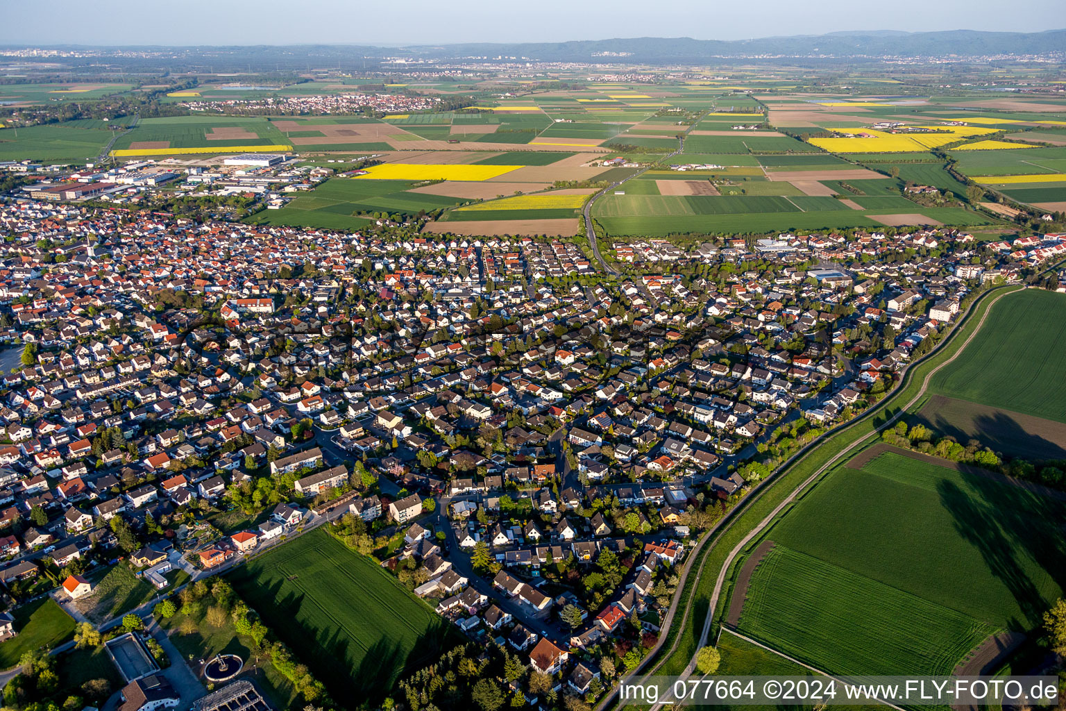 Vue aérienne de Vue des rues et des maisons des quartiers résidentiels à Stockstadt am Rhein dans le département Hesse, Allemagne