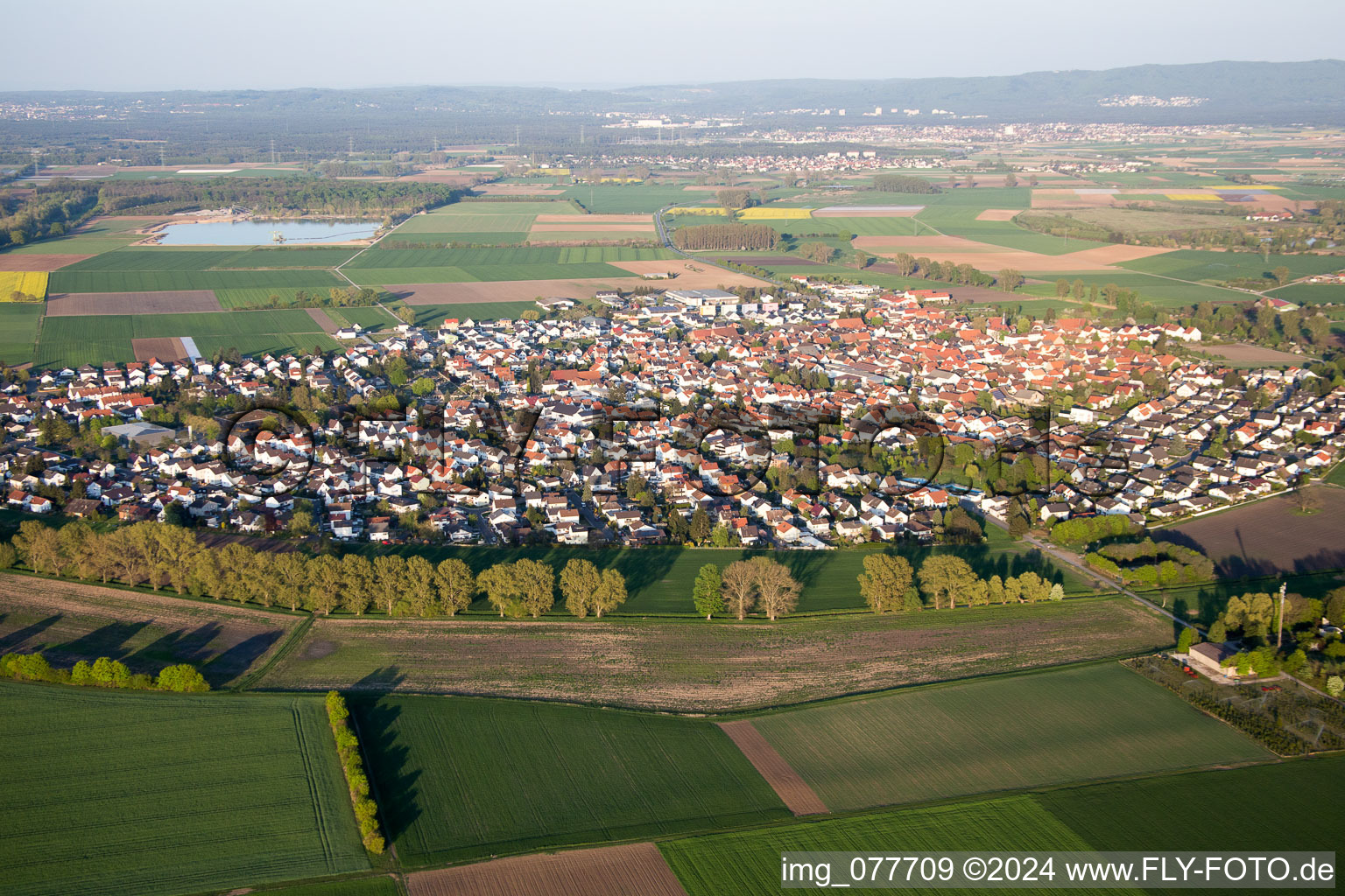 Vue aérienne de Crumstadt à Riedstadt dans le département Hesse, Allemagne