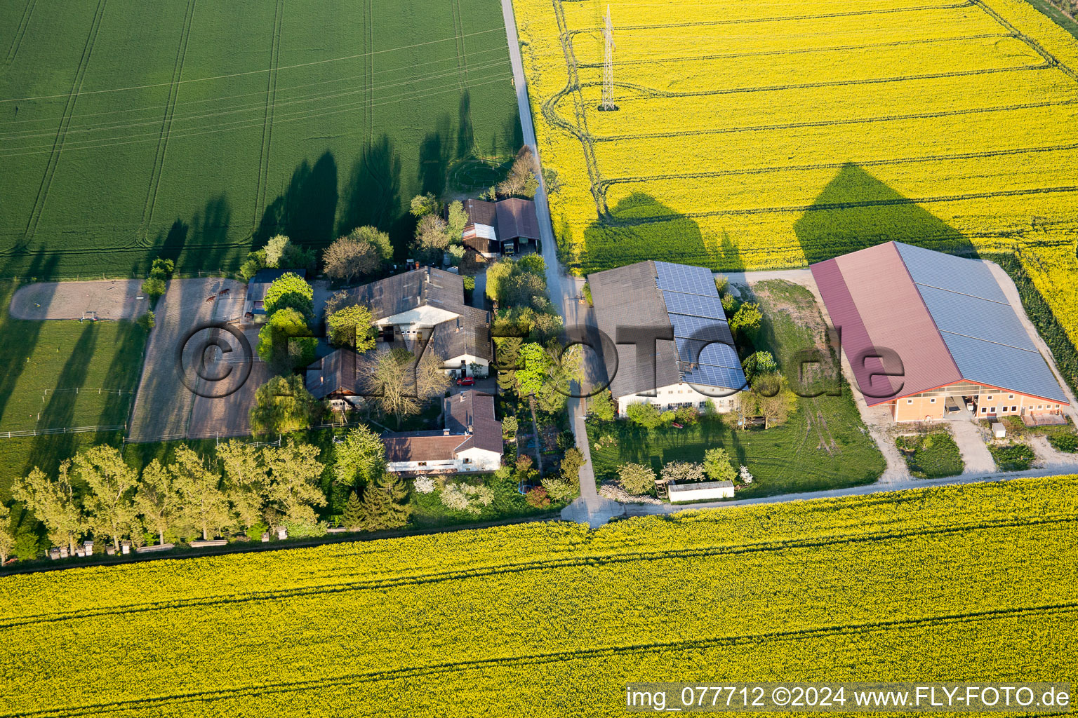 Enregistrement par drone de Stockstadt am Rhein dans le département Hesse, Allemagne