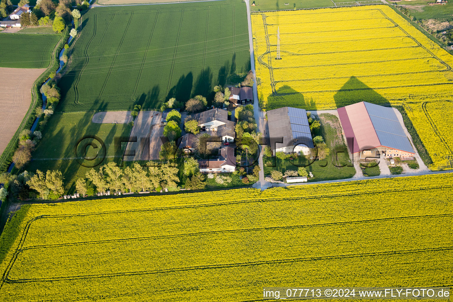 Image drone de Stockstadt am Rhein dans le département Hesse, Allemagne