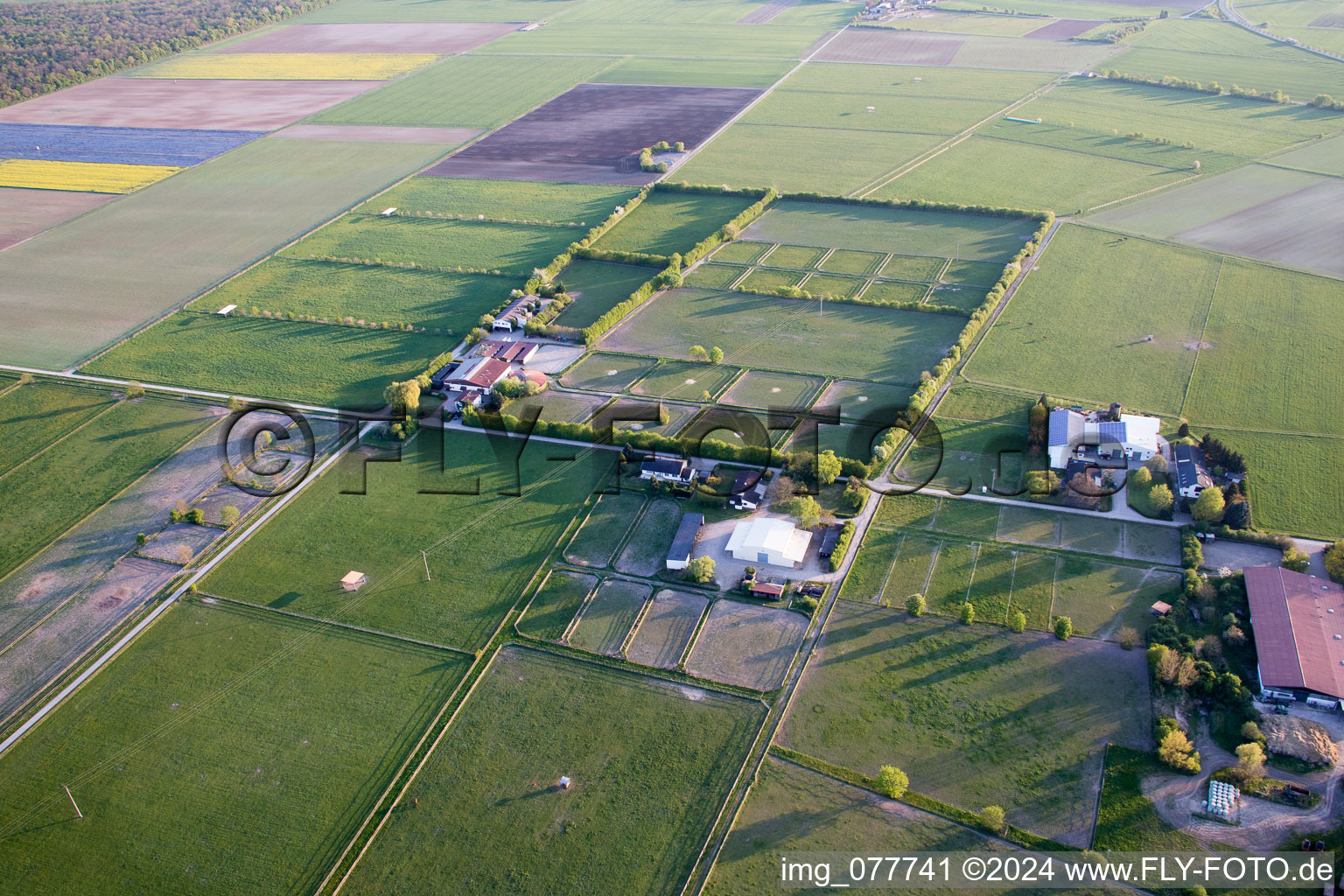 Gernsheim dans le département Hesse, Allemagne vue du ciel