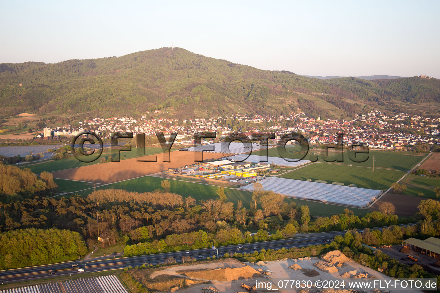 Alsbach-Hähnlein dans le département Hesse, Allemagne vue d'en haut