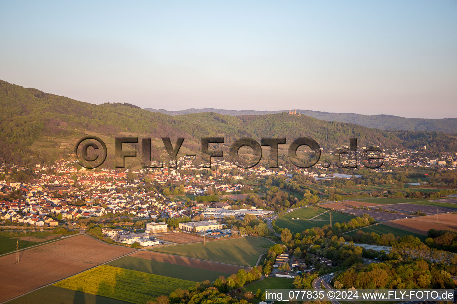 Vue aérienne de Zwingenberg dans le département Hesse, Allemagne